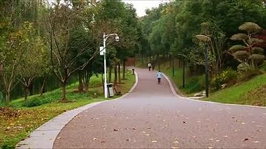 4K延时公园步道秋季公园风景视频的预览图